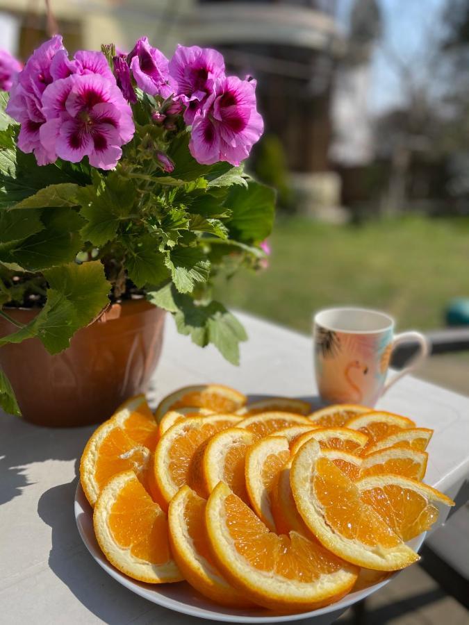 Guest House Kobuleti Dış mekan fotoğraf